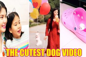 All Star Family Reaction to Cutest Dog on tik tok - Cutest Puppies ever - Happier pip dog