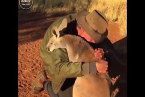 Animals Showing Love To Humans Who Saved Them