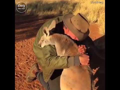 Animals Showing Love To Humans Who Saved Them