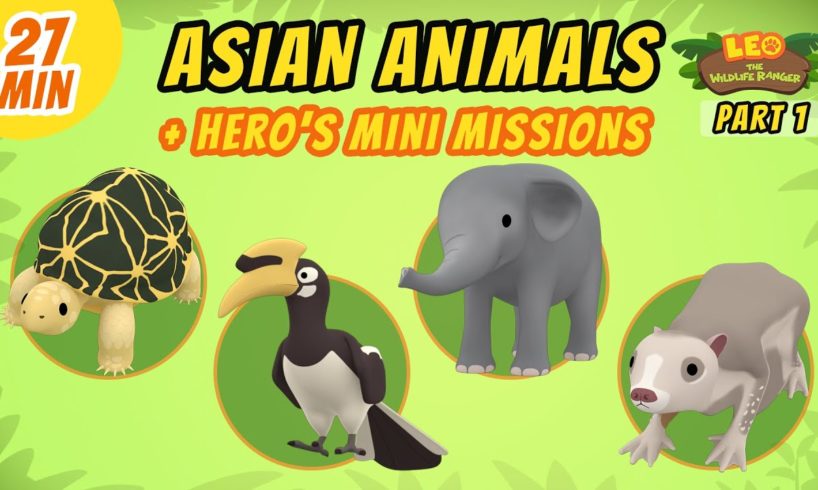 Asian Animals (Part 1/7) - Junior Rangers and Hero's Animals Adventure | Leo the Wildlife Ranger