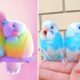 Baby Animals ? Funny Parrots and Cute Birds Compilation (2020) Loros Adorables Recopilación #6