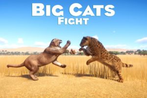 Big Cats Category Fight in Planet Zoo - PLANET ZOO | Planet Zoo Animal Fights