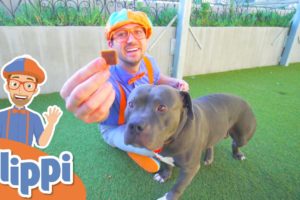 Blippi Learns About Animals For Kids At The Animal Shelter | Educational Videos For Toddlers