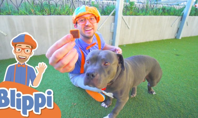 Blippi Learns About Animals For Kids At The Animal Shelter | Educational Videos For Toddlers