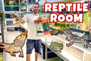 CRAZIEST BEST FAMILY OWNED PET SHOP IN FLORIDA! *HANDS DOWN!*