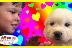CUTEST PUPPIES EVER!! | PUPPY SHOPPING FAMILY FUN | BOY LOOKS FOR AND FINDS CUTEST PUPPY EVER!!