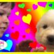 CUTEST PUPPIES EVER!! | PUPPY SHOPPING FAMILY FUN | BOY LOOKS FOR AND FINDS CUTEST PUPPY EVER!!