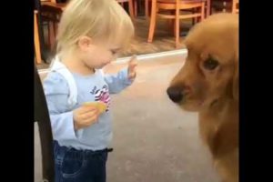 Child Happy Playing The Dog ? | Funny Pets ☺️ | #shorts #trending #viral