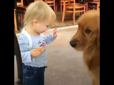 Child Happy Playing The Dog ? | Funny Pets ☺️ | #shorts #trending #viral
