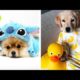 Cute Puppies & baby dogs Videos Compilation cutest moment of the animals Cutest Puppies #17