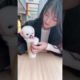 Cutest Puppy in Glass Having lollipop ???