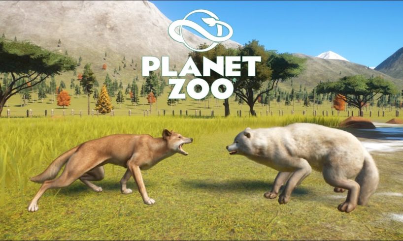 Dog Battle in Planet Zoo | Planet Zoo Animal Fights | Included Hyena, Wolf, Dingo, Wild Dog