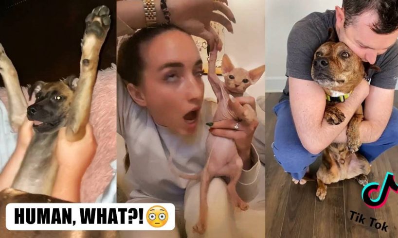 Dogs & Cats Doing Funny Things on TikTok ~ Cutest Puppies TikTok Compilation | Fluff Planet