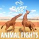 Every Animal Fights in Planet Zoo - PLANET ZOO | Planet Zoo Animal Fights | ALL 20 ANIMALS | PART 4