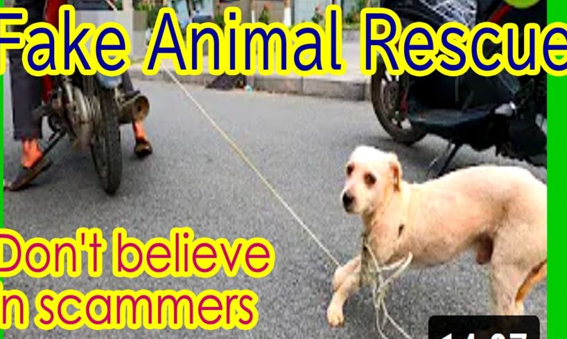 Fake Animal Rescue Scammer "Pets Rescue Center" make new fake channels again and again. Help me.