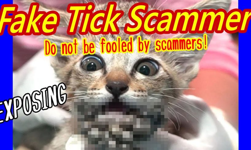 Fake Tick Video Channels by Scammers for Money are Multiplying all over the World! Don't be fooled.