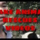 Fake animal rescue videos, please YouTube do something