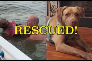 Family RESCUES Dog adrift in Lake Houston: DogNewsNetwork