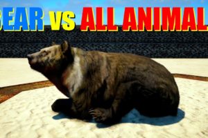 Far Cry 4 Animal Fight - Giant White Chested Bear vs All Animals