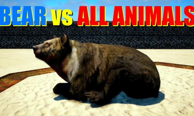 Far Cry 4 Animal Fight - Giant White Chested Bear vs All Animals