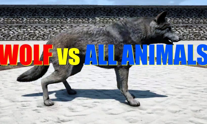 Far Cry 4 Animal Fight - Grey Wolf vs All Animals