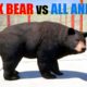 Far Cry 5 Arcade - Animal Fight: Black Bear vs All Animals