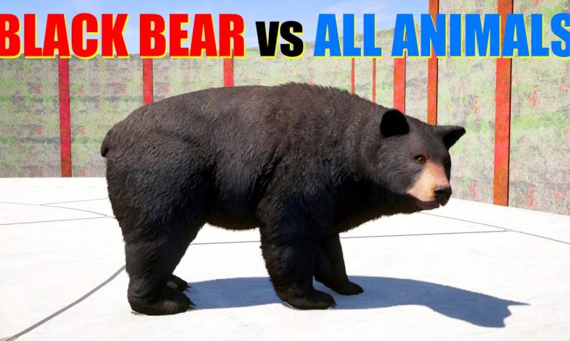 Far Cry 5 Arcade - Animal Fight: Black Bear vs All Animals