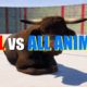 Far Cry 5 Arcade - Animal Fight: Bull vs All Animals
