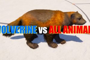 Far Cry 5 Arcade - Animal Fight: Wolverine vs All Animals