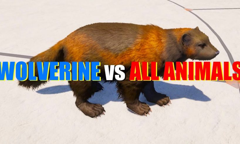Far Cry 5 Arcade - Animal Fight: Wolverine vs All Animals