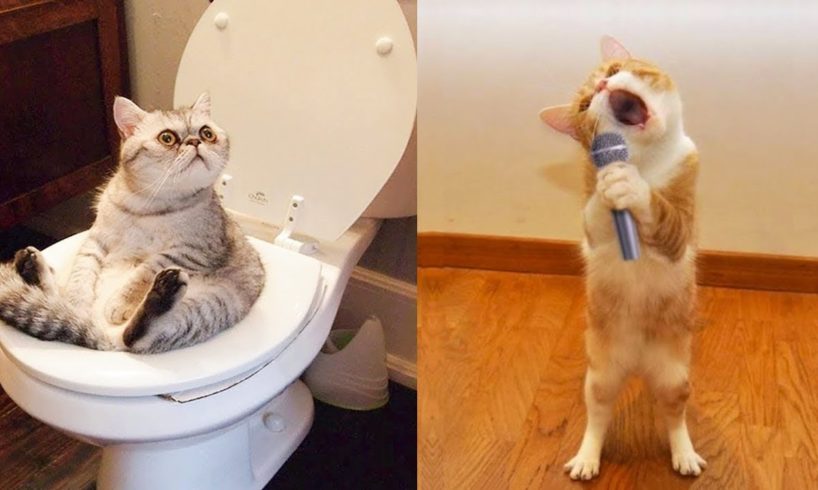 Funniest Animals - Best Of The 2021 Funny Animal Videos #28