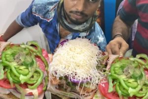 GRILLED PANEER CHEESE SANDWICH | Price Start 170 Rs | Mumbai Street Food