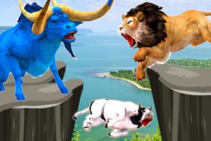 Giant Bulls vs Zombie Lions Animal Fight  Giant Bulls Transformation into Zombie Bulls