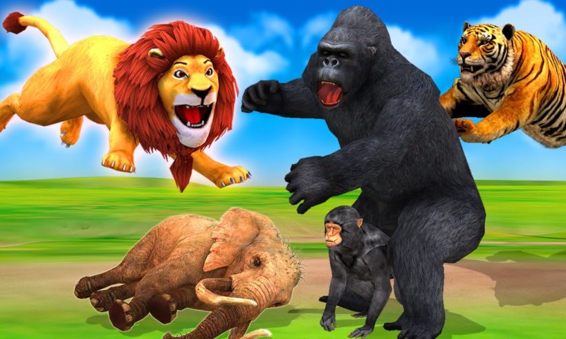 Giant Lion, Tiger Vs Giant Gorilla Animal Fight |Funny Monkey Gorilla Rescue Baby Elephant from Lion