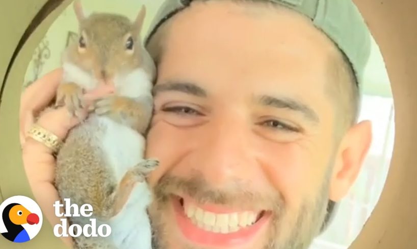 Guy Tried To Release His Rescue Squirrel But She Always Came Back | The Dodo