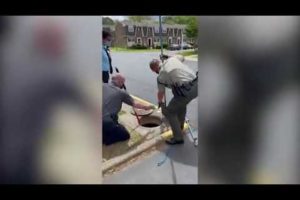 Heart warmings moments of animal rescue