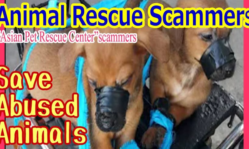 I expose 100% Fake Animal Rescue Scammer "Asian Pet Rescue Center"