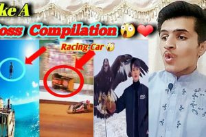 Like A Boss Compilation Most Viewed in the world Reaction | Reaction vedio | ShamsZayn Reacts