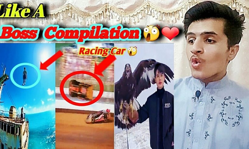 Like A Boss Compilation Most Viewed in the world Reaction | Reaction vedio | ShamsZayn Reacts