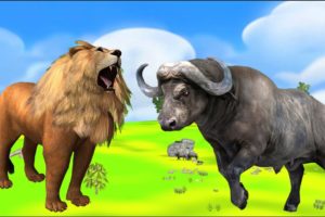 Lion Vs Buffalo Animal Fights Lion attack Buffalo Animal Epic Battle Cartoon Animal Revolt New Video
