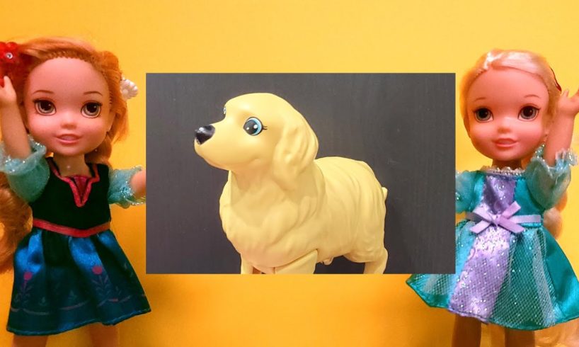 Lost dog ! Will Elsa & Anna toddlers find their pet?