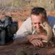 Magic meerkat moments - BBC