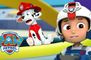 Mini Marshall and the Marooned Mayors! ? PAW Patrol Cartoon Compilation 63 PAW Patrol & Friends