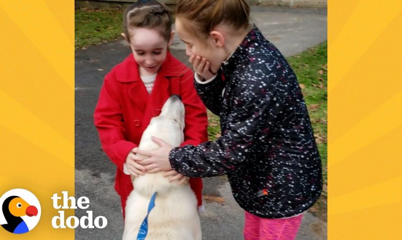 Mom Secretly Adopts A Shelter Dog Her Daughters Fell In Love With | The Dodo