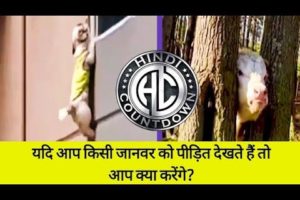 ?Most Painful Animal Rescued in hindi | exciting and touching animal rescues