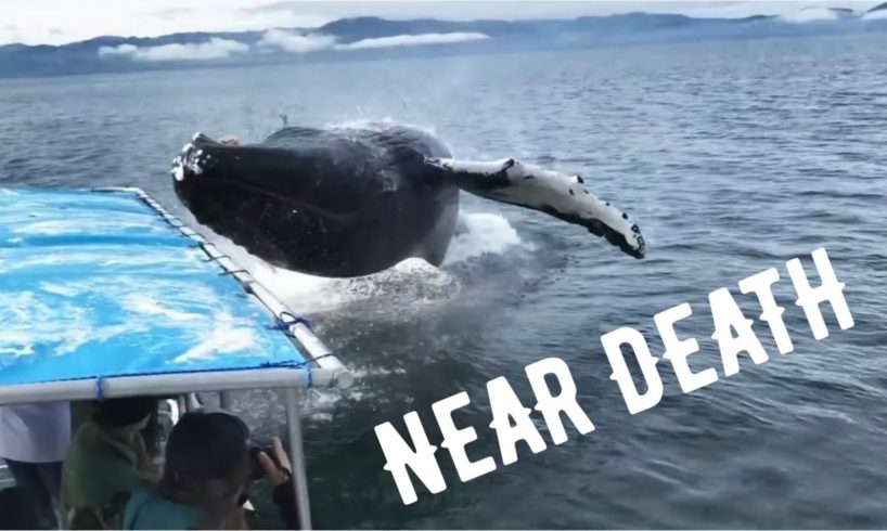 NEAR DEATH EXPERIENCE COMPILATION 9