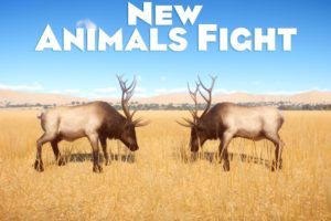 New Animals Fight in Planet Zoo - PLANET ZOO | Planet Zoo Animal Fights