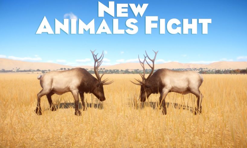New Animals Fight in Planet Zoo - PLANET ZOO | Planet Zoo Animal Fights