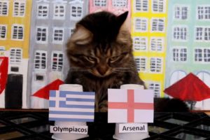 Olympiacos FC Vs Arsenal FC - Animals Europa League 2020/21 Prediction