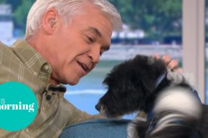 Phillip Falls in Love With Rescue Puppy & Gets Distracted | This Morning